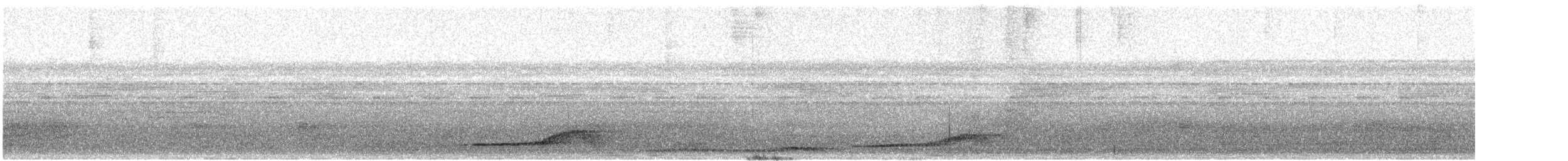Pauraquenachtschwalbe - ML614010102