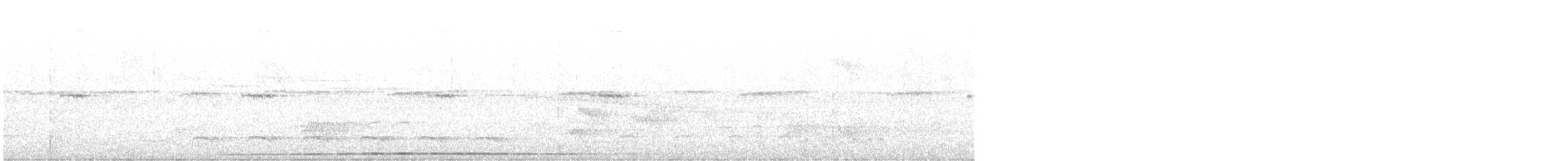Weißbart-Ameisenwürger - ML614011939