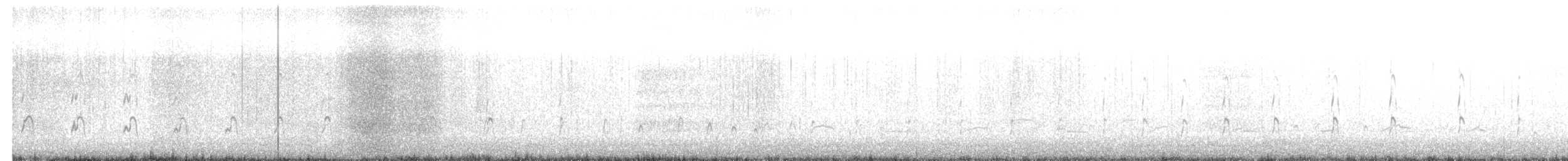 ミヤコドリ - ML614012340