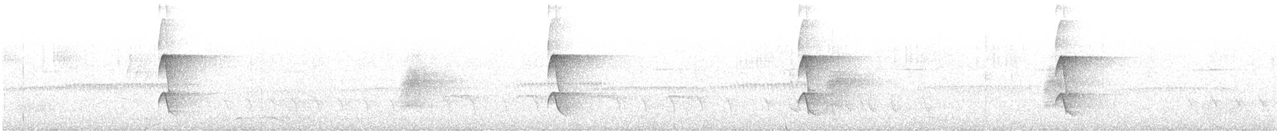 Лопатодзьоб рудокрилий - ML614012495