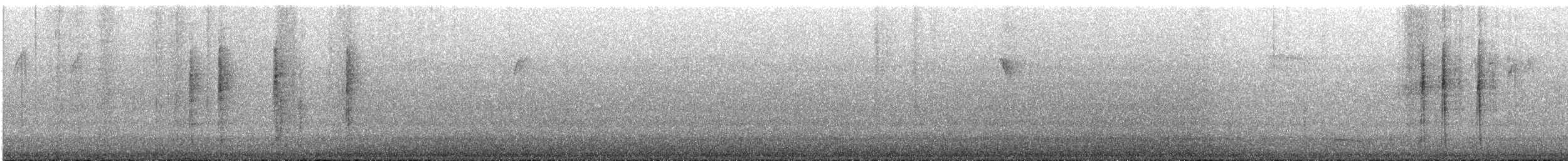 Ошейниковый дрозд - ML614012534