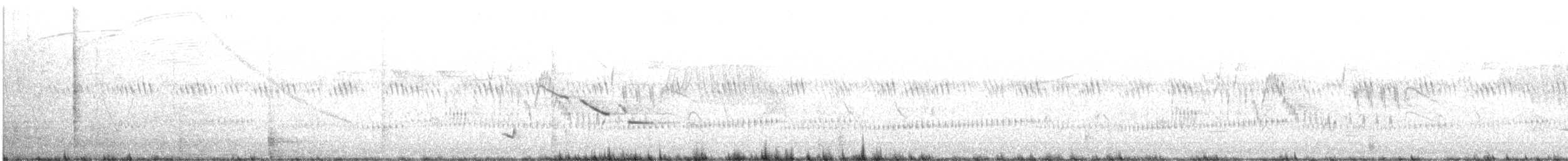 Chihuahuastärling - ML614013234