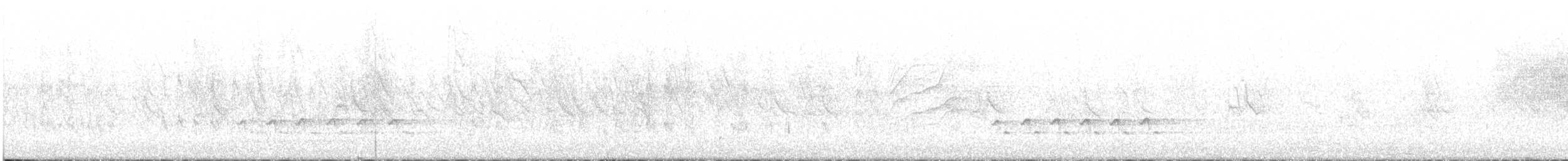 Çam İsketesi (pinus/macropterus) - ML614013686