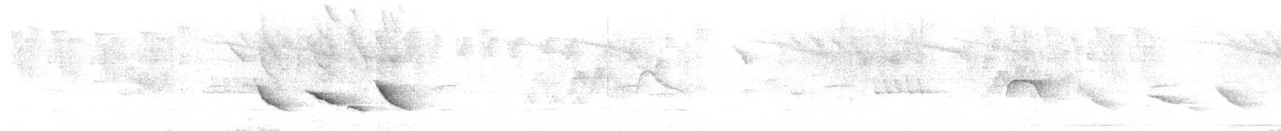 Зернолуск антильський - ML614013896