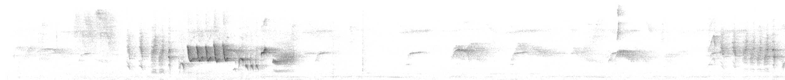 Troglodyte familier (mesoleucus) - ML614013898