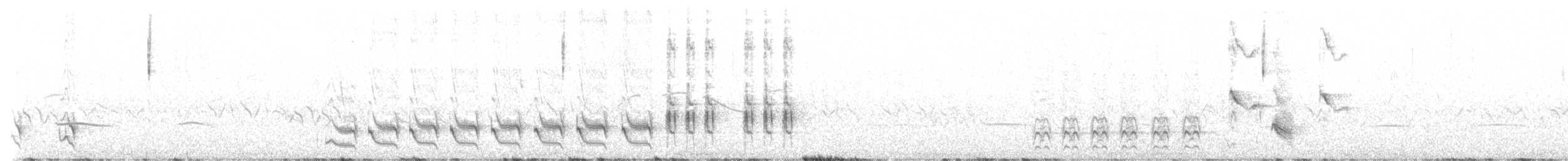 Patagonya Taklitçisi - ML614014566