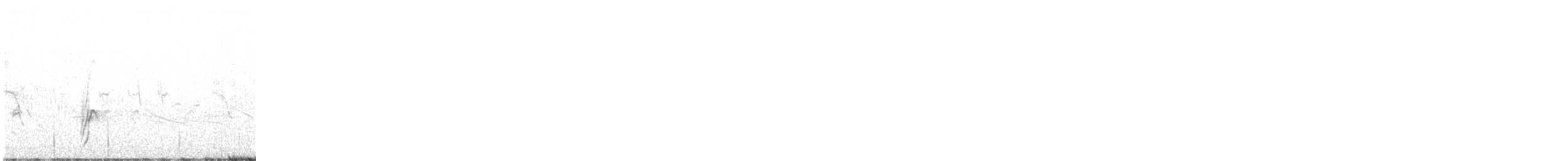 Tinamou orné - ML614014757