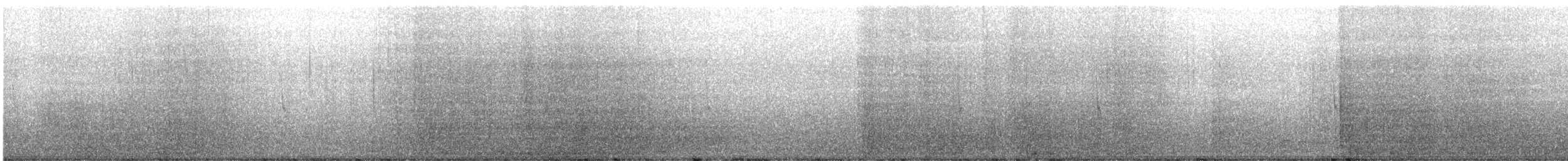 alkoun černohrdlý - ML614014781