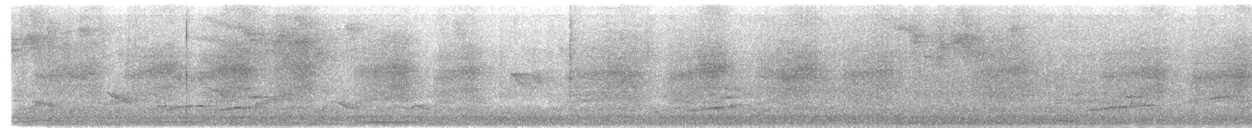 Weißbrust-Spottdrossel (sanctaeluciae) - ML614015041