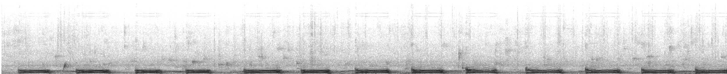 holub skalní (domácí) - ML614015081
