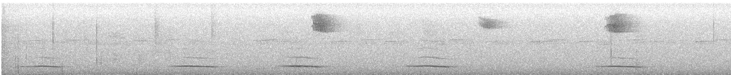 Большеголовый плосконос - ML614015349