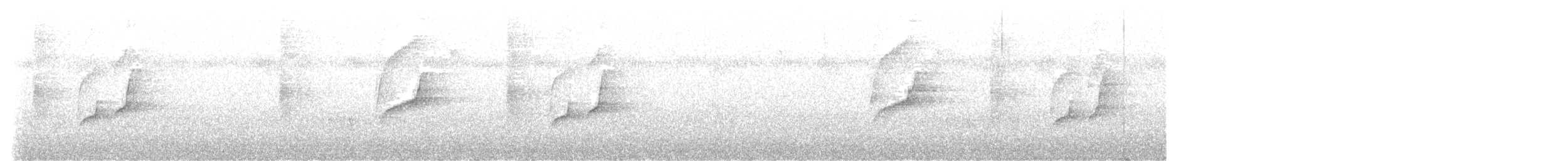Weißbrauen-Dickichtschlüpfer - ML614015370