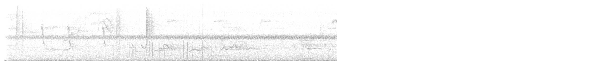 Ak Karınlı Kolibri - ML614015448