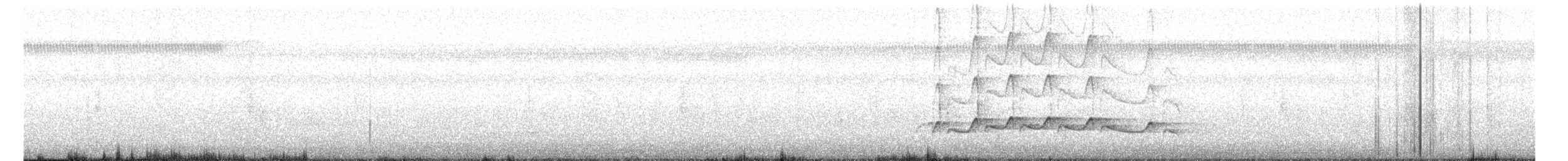 Bright-rumped Attila (Northern) - ML614016118