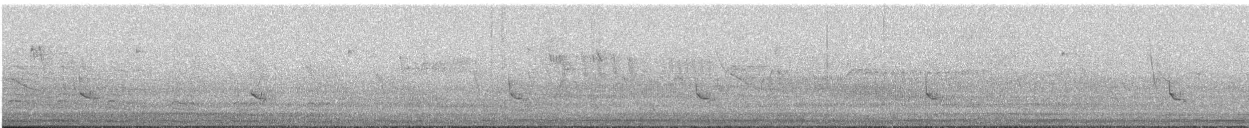 Çizgili Sinek Tiranı - ML614018121
