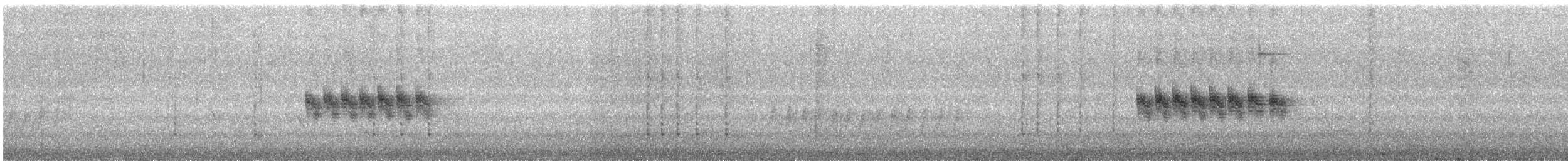 Mangrov Vireosu (ochraceus/semiflavus) - ML614018948