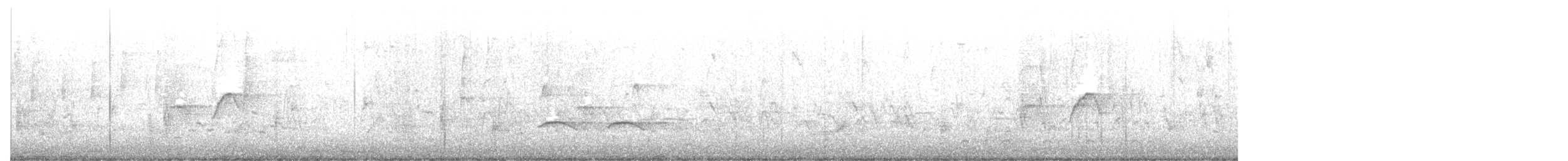 Светлобрюхий фиби - ML614018997
