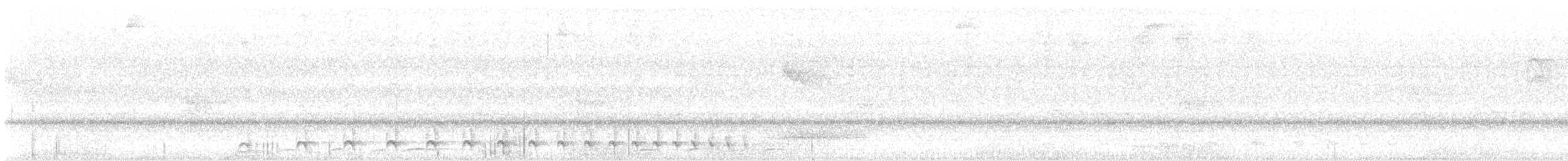 Weißbrust-Ameisenwürger - ML614020495