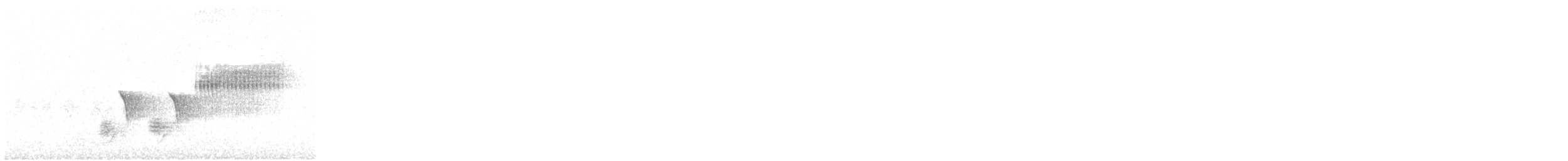 Spotted Towhee - ML61402051