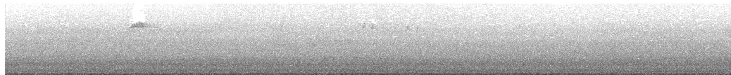 Brown Creeper - ML614021928