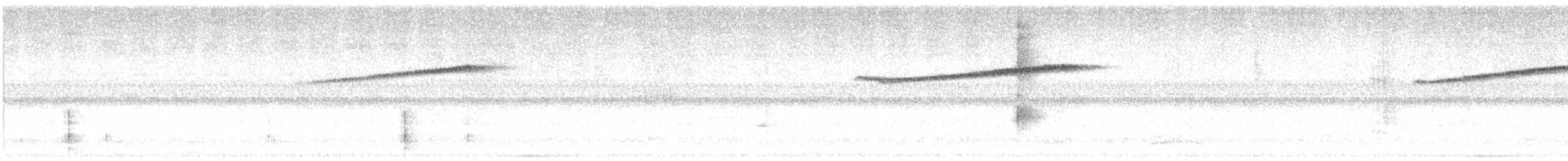 Black-streaked Puffbird - ML614023235