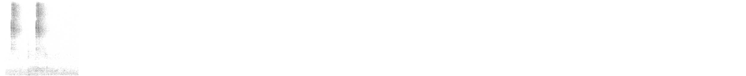 passerine sp. - ML61402651