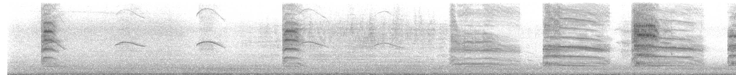 紐澳紅嘴鷗(scopulinus) - ML614026874