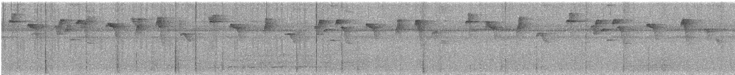 Пестрогорлый колибри-отшельник - ML614027145