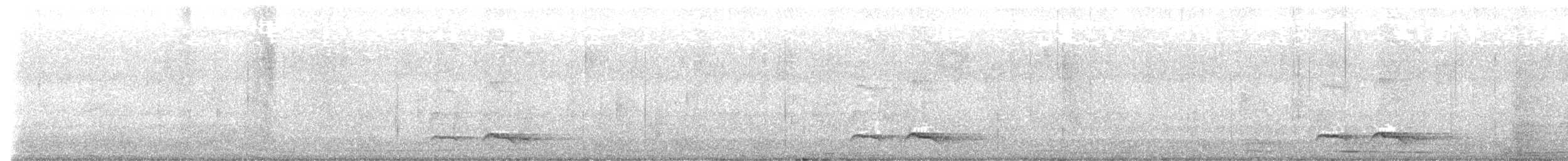Зозуля білогорла - ML614028162
