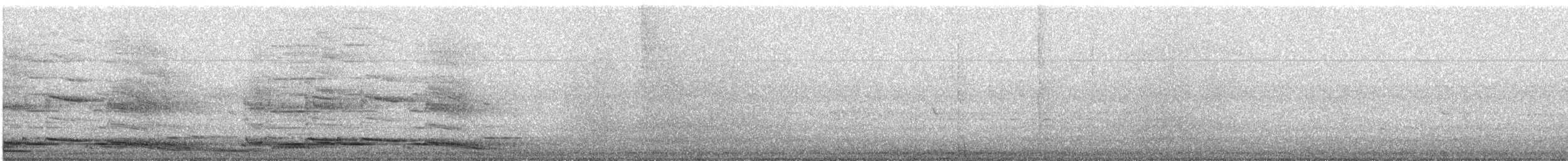 Flötenkrähenstar (telonocua/tyrannica) - ML614028525