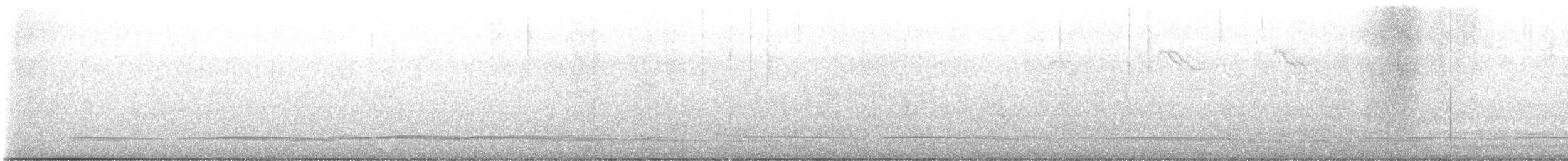Black Scoter - ML614030666