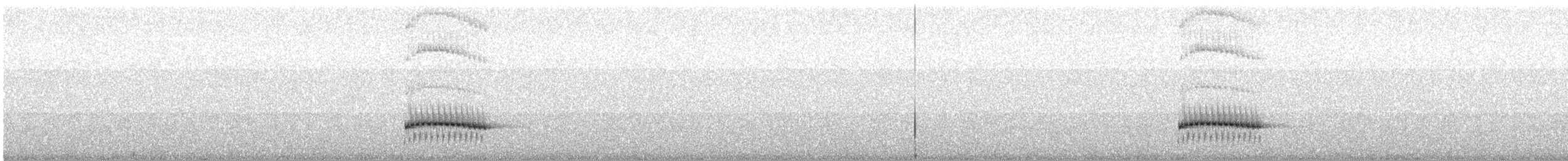 Grallaire de la Perija - ML614036054