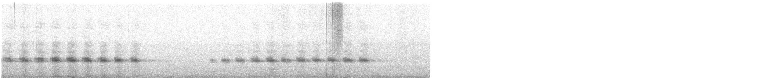 Échenilleur cigale (groupe tenuirostre) - ML614042312