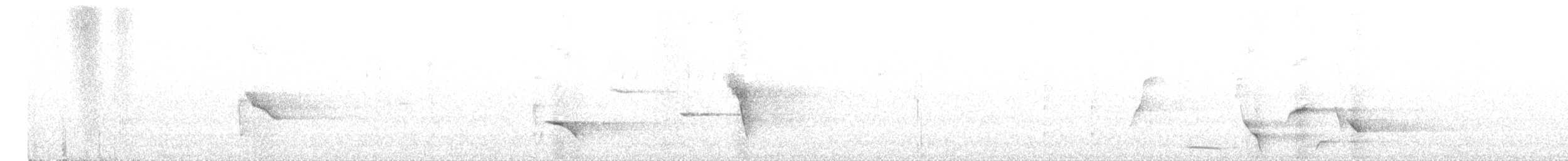 Ménure superbe - ML614042474