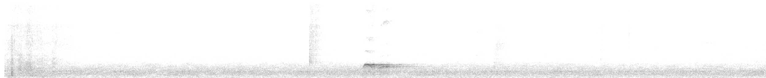 Bar-bellied Pitta - ML614042566