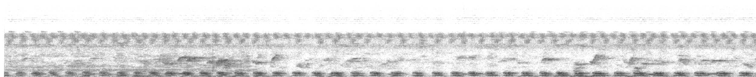holub skvrnitý - ML614045741