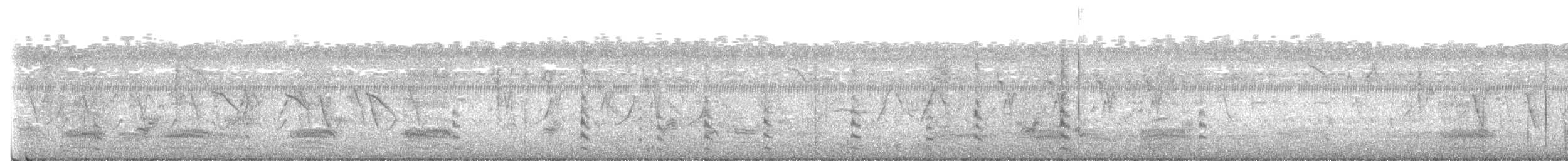 sothøne - ML614047766