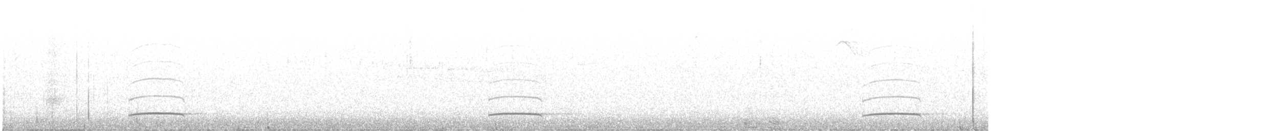 Copetón de Swainson - ML614048957