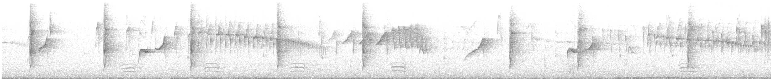 Graubauch-Dickichtschlüpfer - ML614049013