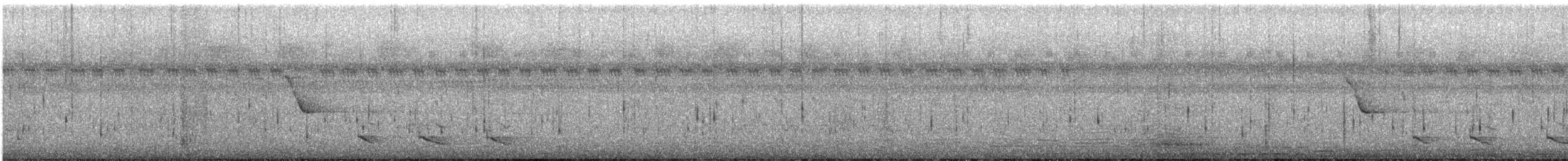 Troglodyte à long bec - ML614050083