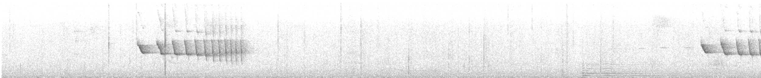 Dusky-tailed Antbird - ML614050709