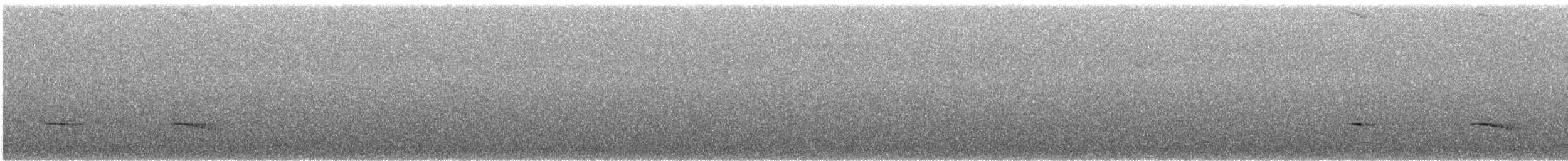 Kestane Sırtlı Karıncakuşu - ML614052768