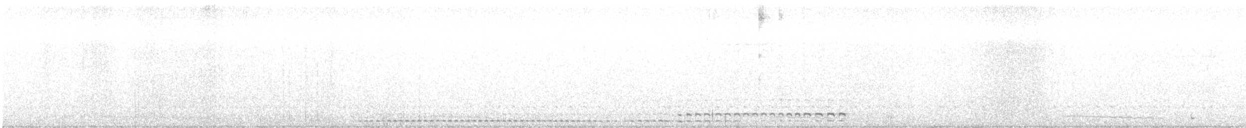 ヒガシアメリカオオコノハズク（mccallii） - ML614052797