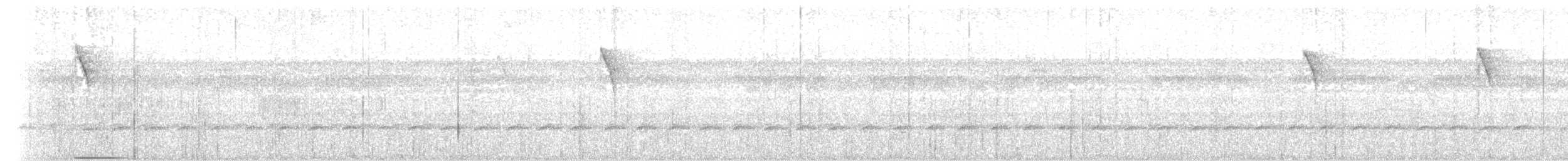 Коричневый колибри-отшельник - ML614053996