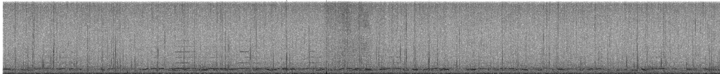 Cygne siffleur - ML614054097