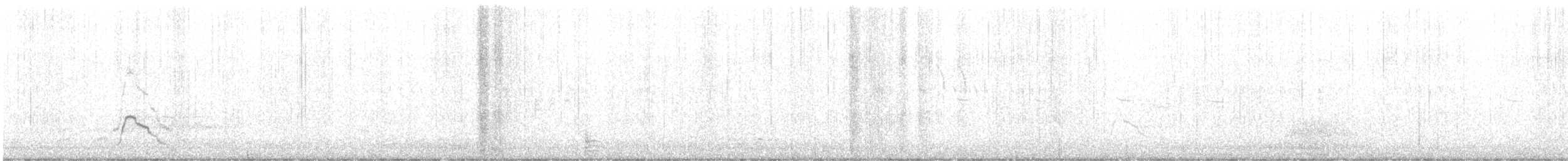 Canard siffleur - ML614054461