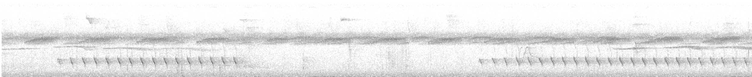 ズキンヒメアリサザイ - ML614054766