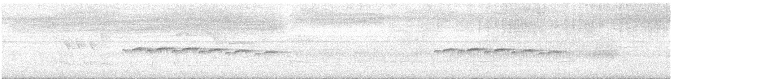 Schmuckbrust-Ameisenvogel - ML614055820