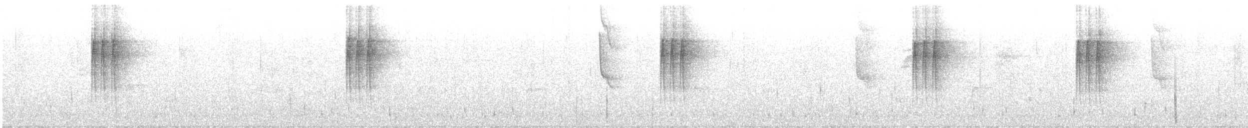 Чешуегорлый колибри-отшельник - ML614058678