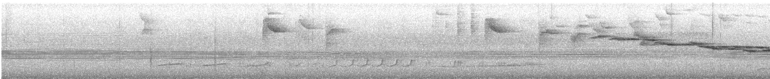 Тиран-крихітка світлогорлий - ML614059373